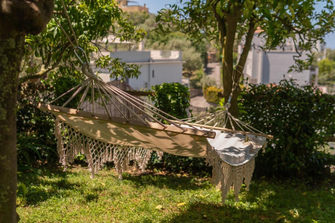 Villa Carolina Sorrento Private Heated Pool And Sea View Exteriör bild