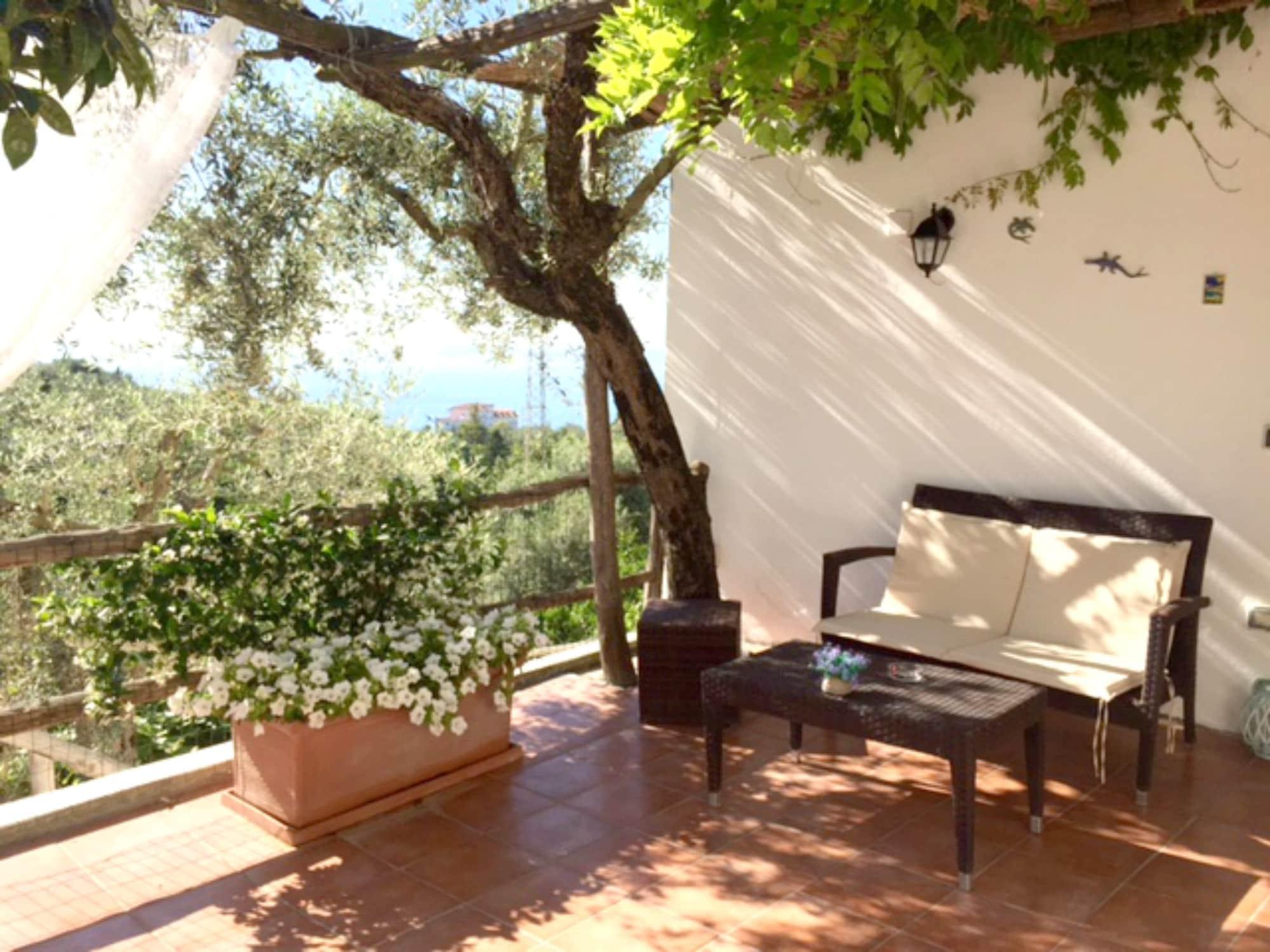 Villa Carolina Sorrento Private Heated Pool And Sea View Exteriör bild