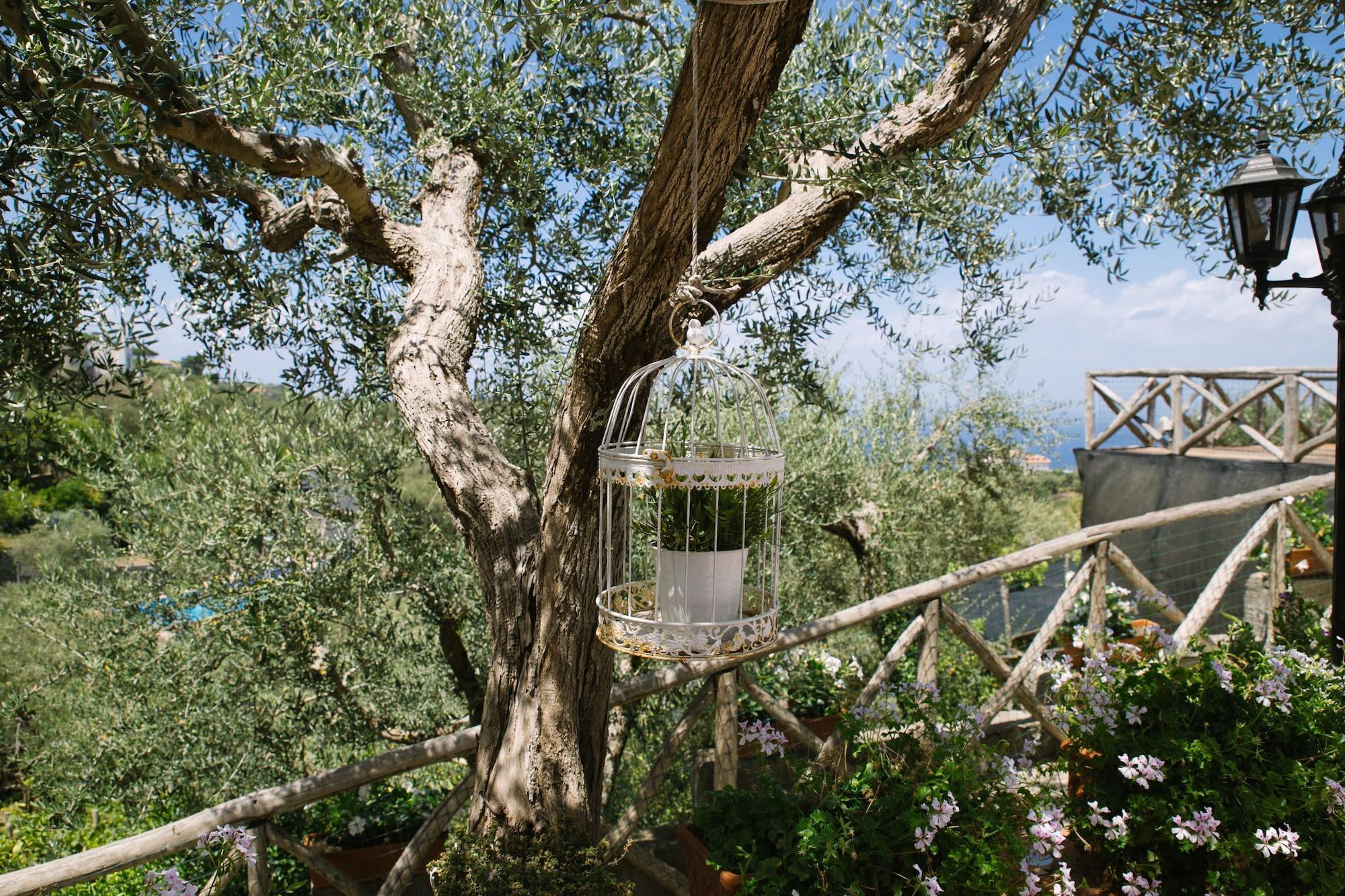 Villa Carolina Sorrento Private Heated Pool And Sea View Exteriör bild