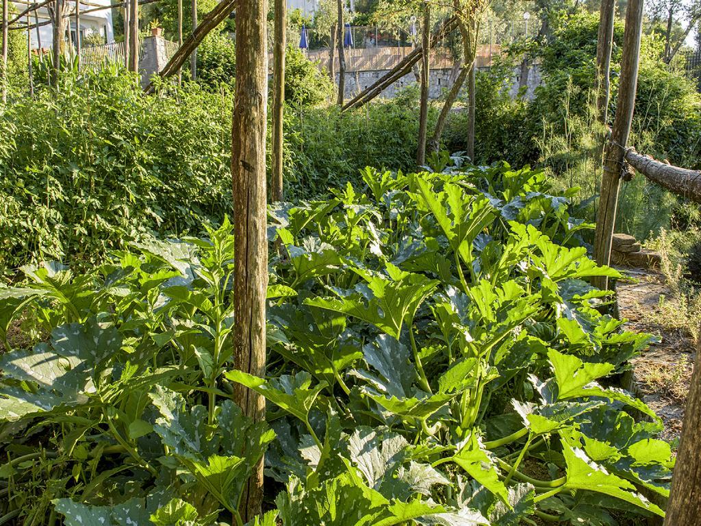 Villa Carolina Sorrento Private Heated Pool And Sea View Exteriör bild